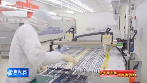 科技引領(lǐng)未來(lái)，創(chuàng)新驅(qū)動(dòng)發(fā)展 計(jì)算機(jī)技術(shù)開(kāi)發(fā)的浪潮與方向